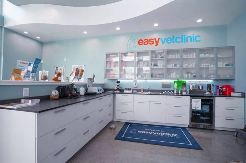 Interior view of EasyVet veterinary clinic
